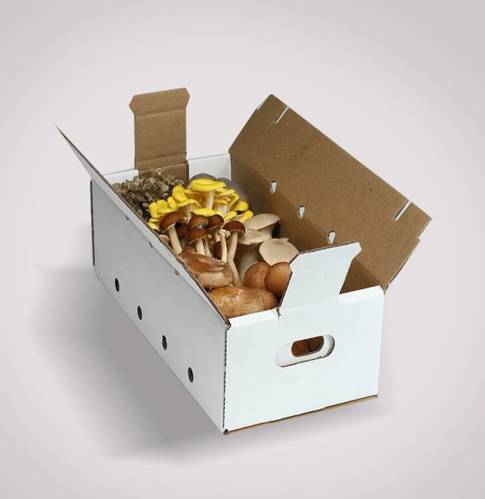 Custom Mushroom Kit Boxes 2