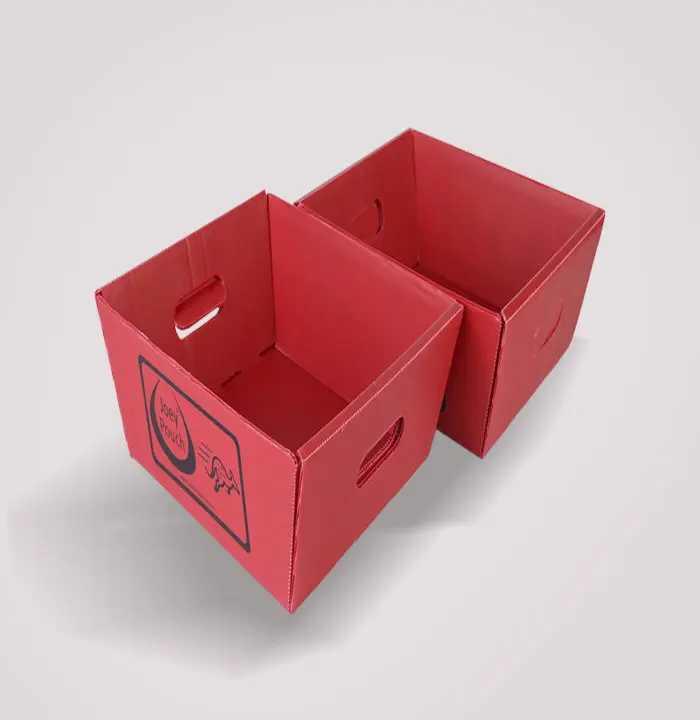 Shrimp Packaging Boxes 3