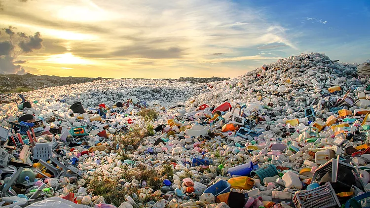plastic pollution
