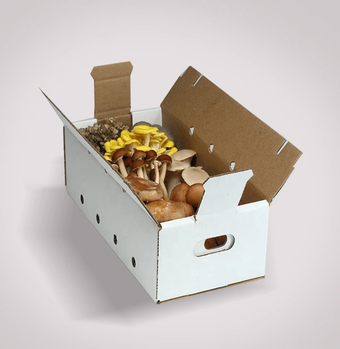 Enjoy Fresh Mushrooms Through Custom Mushroom Kit Boxes