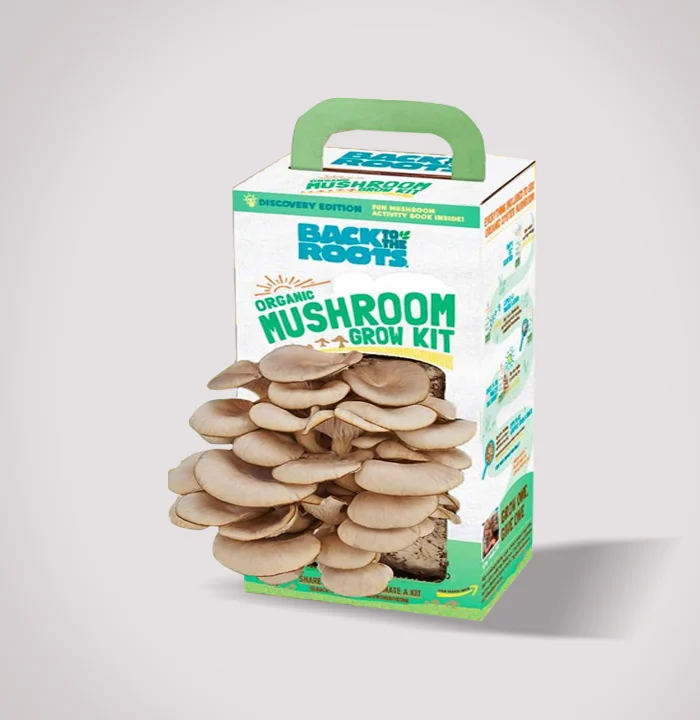 Mushroom Kit Boxes